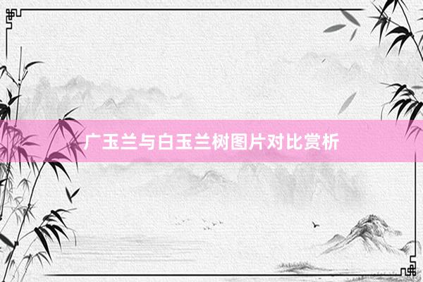 广玉兰与白玉兰树图片对比赏析